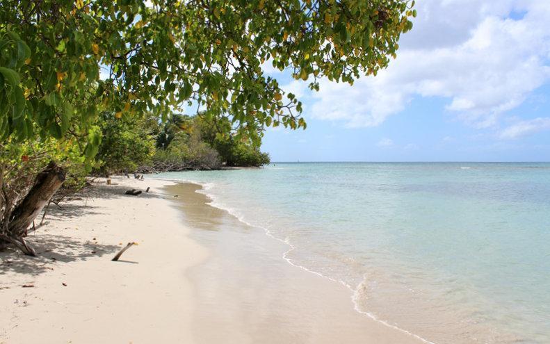 Little Paradise