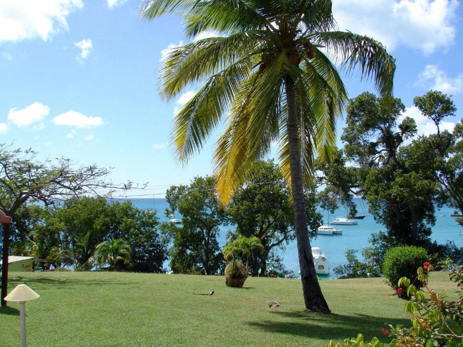 Little Paradise *