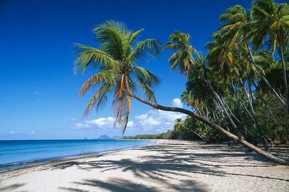 Little Paradise Apartment Sainte-Anne