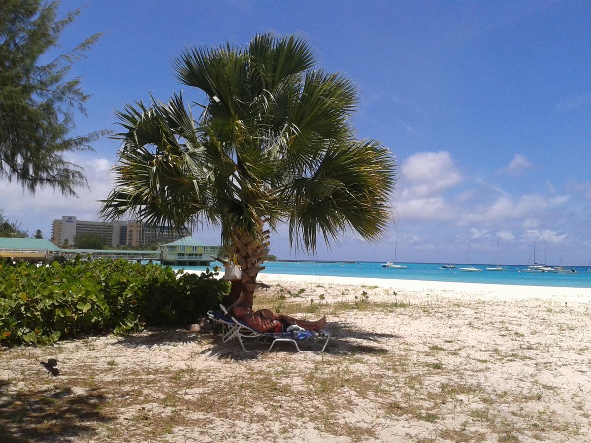 Nautilus Beach