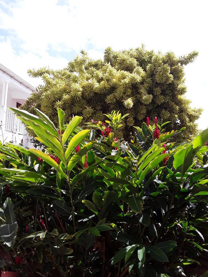 Apartment Les Jardins De Valentin Le Gosier (Grande-Terre)