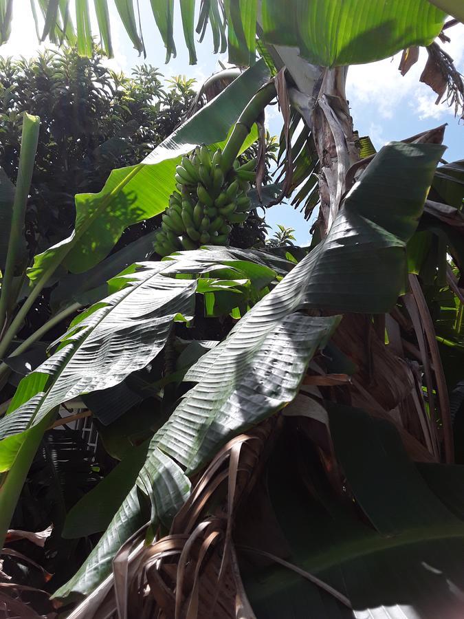 Les Jardins De Valentin