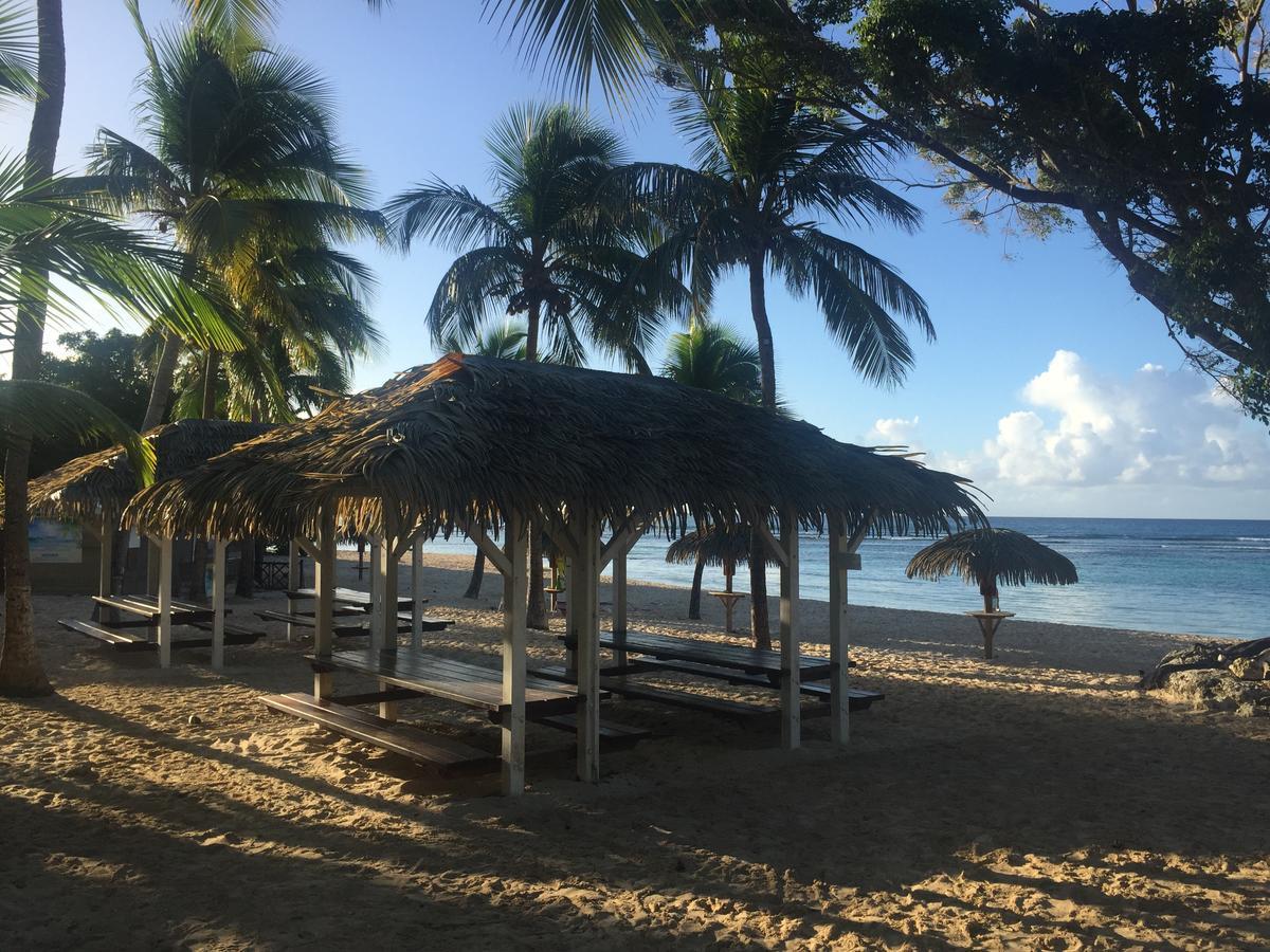 Apartment Brin D'ile Anse Des Rochers Vue A 50 M De La Et Piscine Saint-Francois (Grande-Terre)