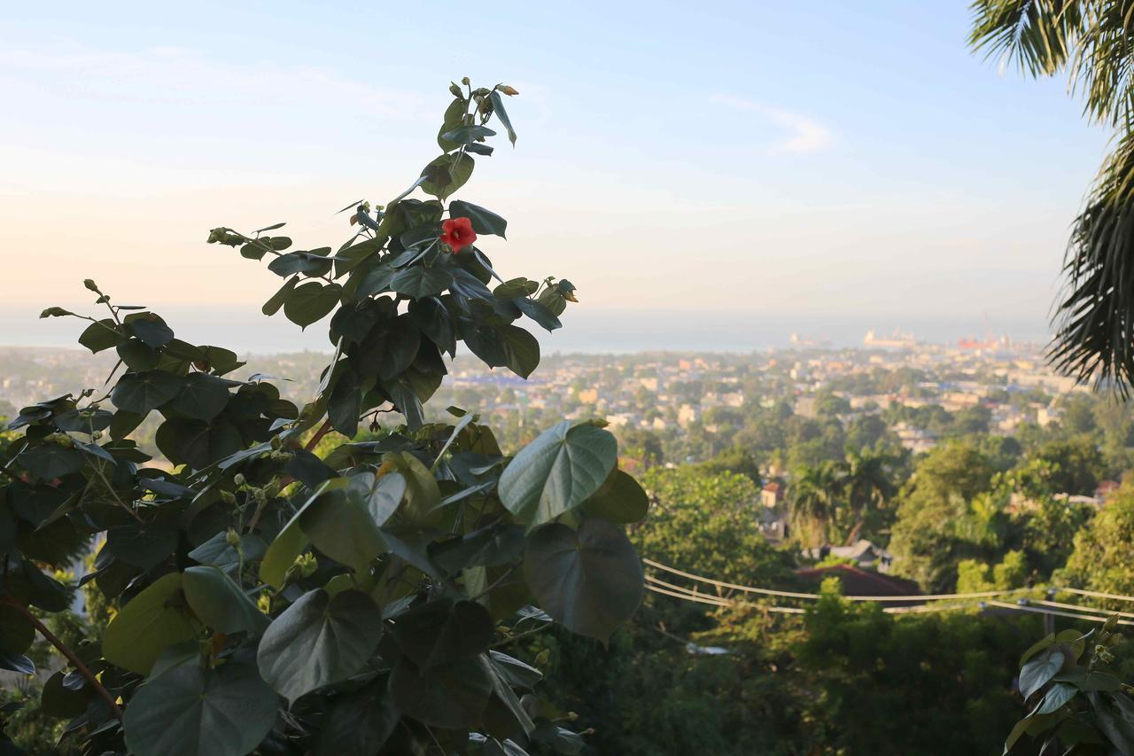 Prince Port-au-Prince