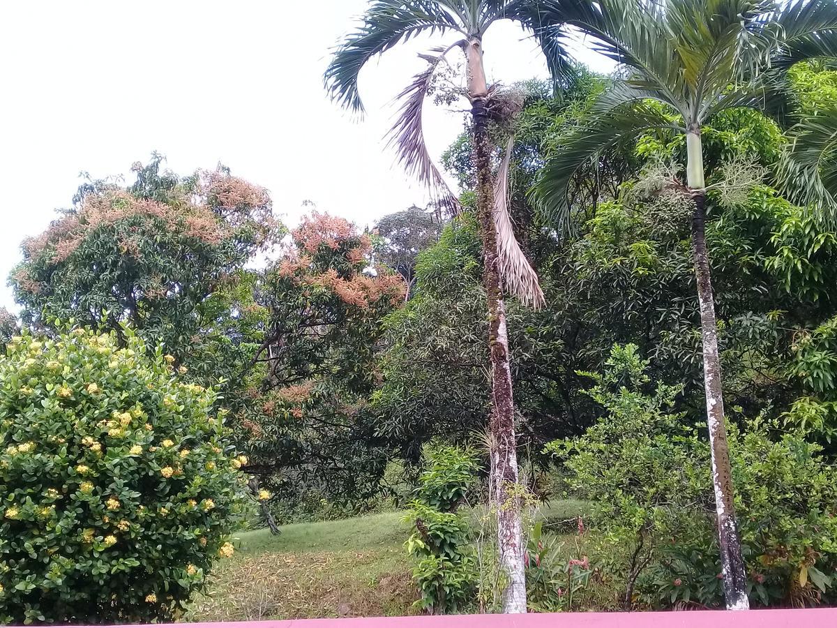 Guest house Monique's Maraval