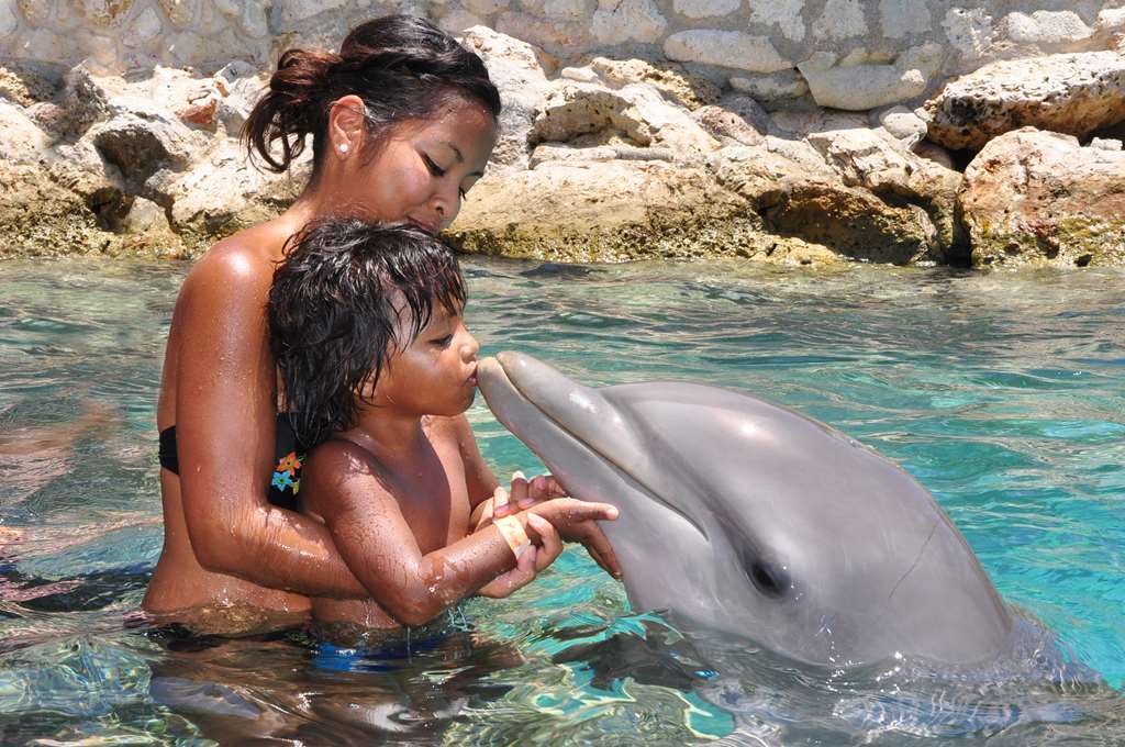 Hilton Curacao Hotel 4*