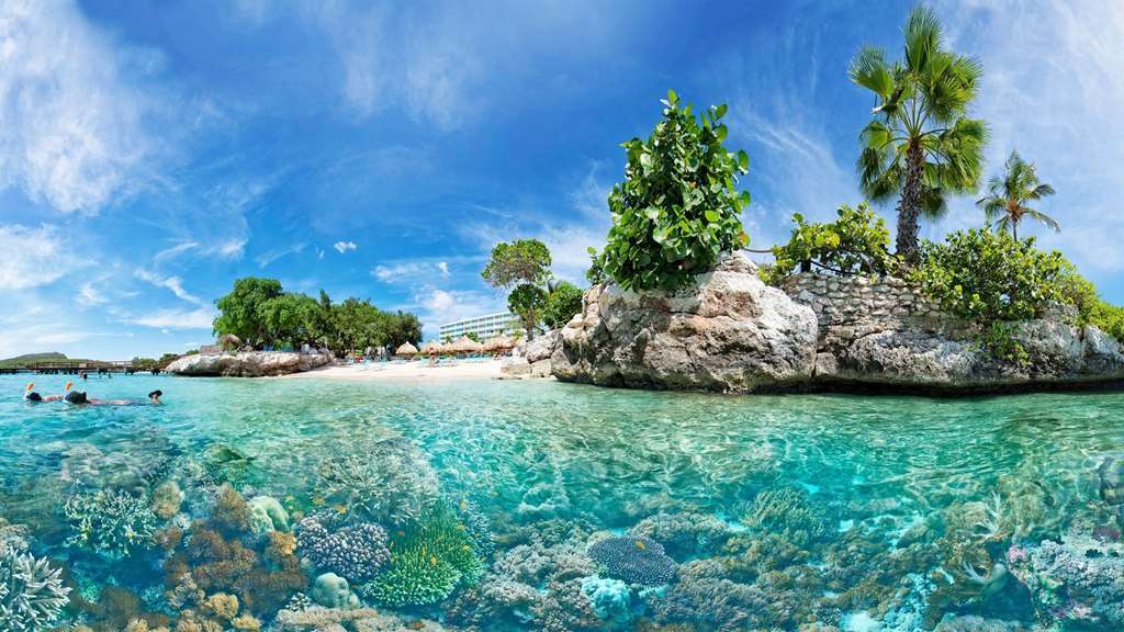 Hilton Curacao 4*