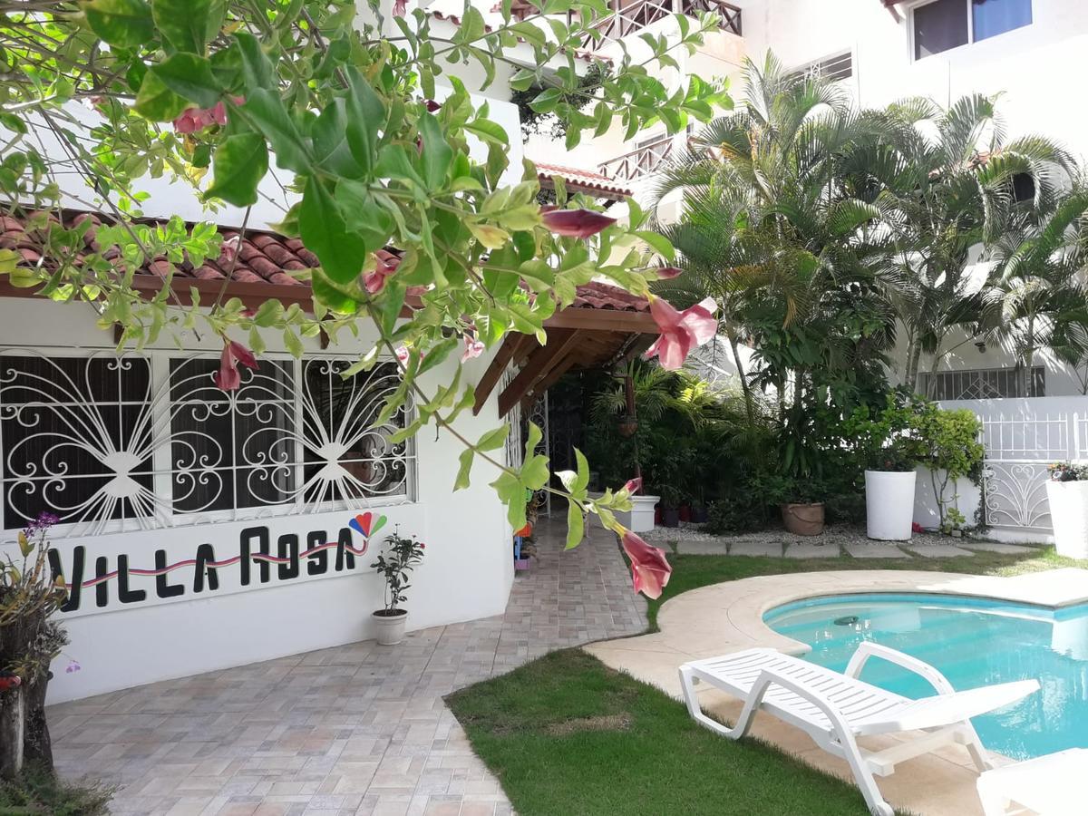 Rosa Dominicus 3*