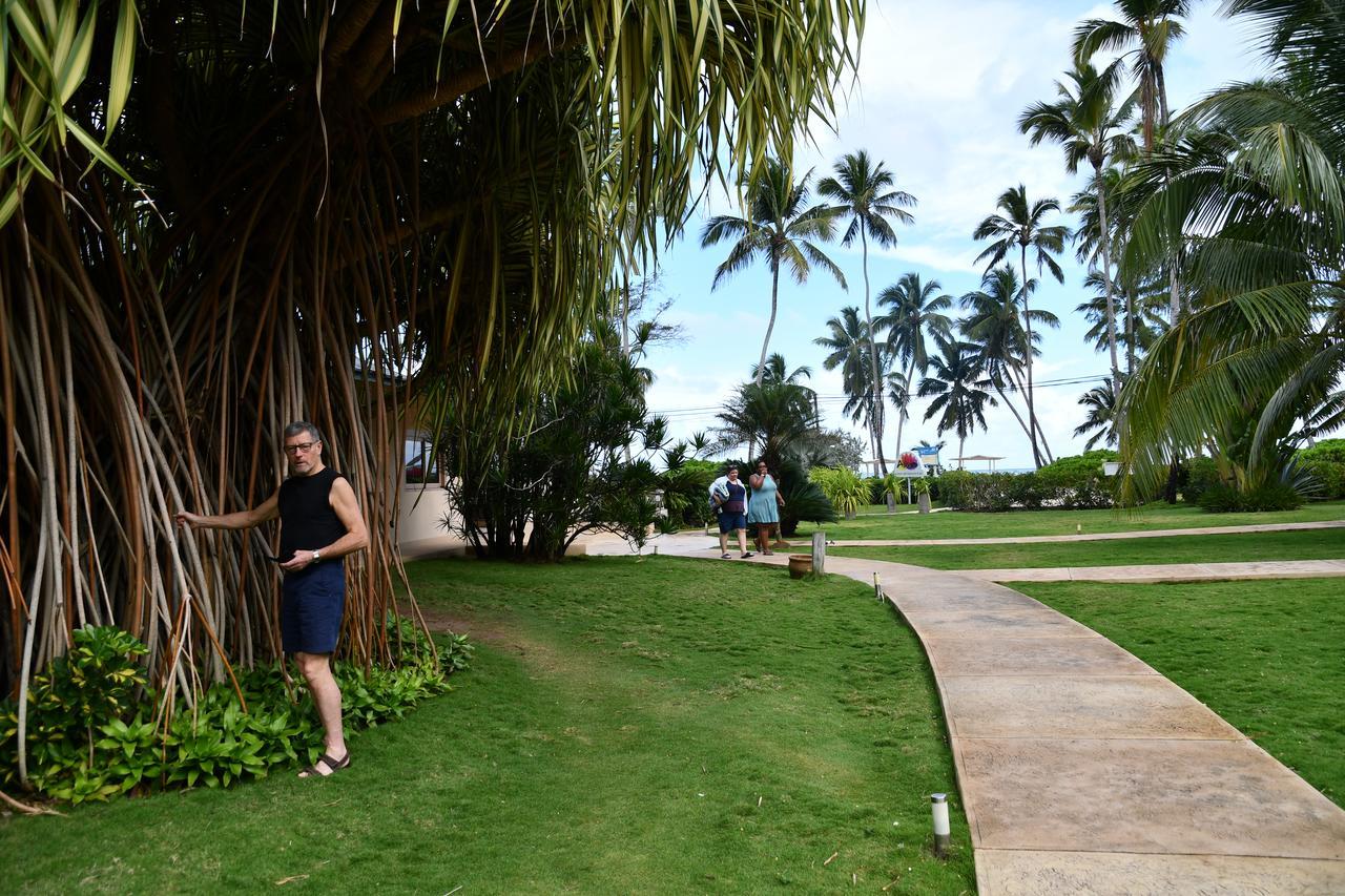 Hotel Alisei Las Terrenas