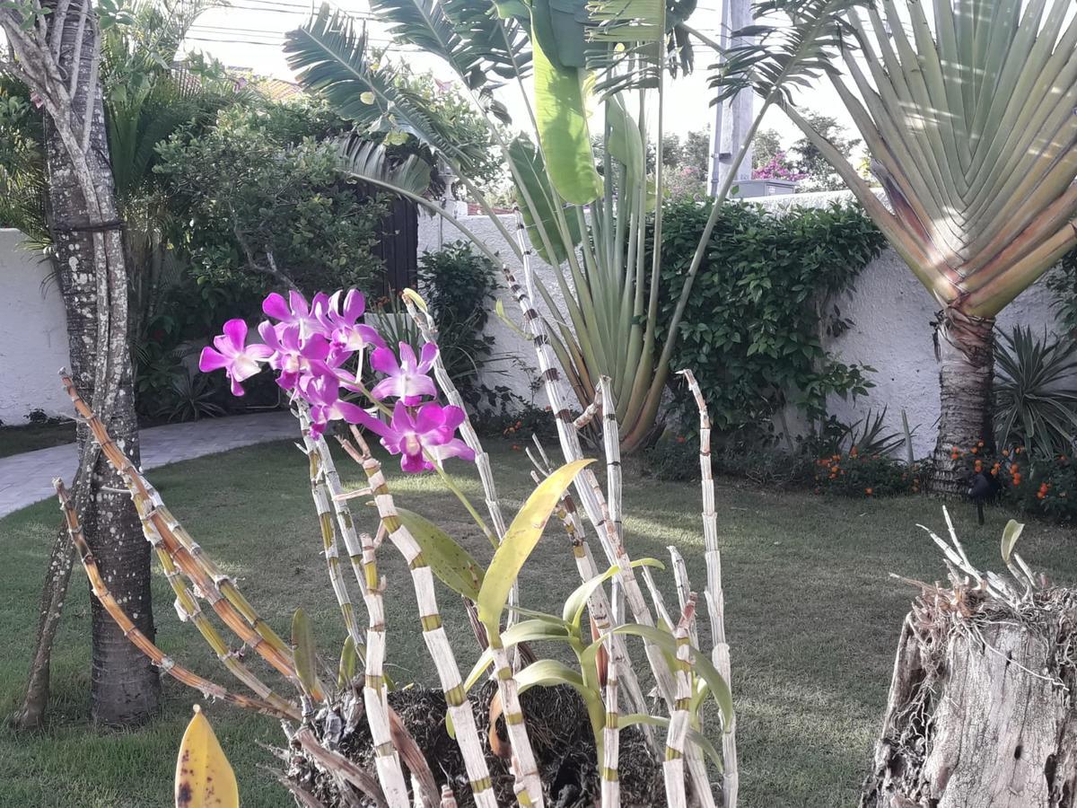 Rosa Dominicus Bed & Breakfast San Rafael del Yuma
