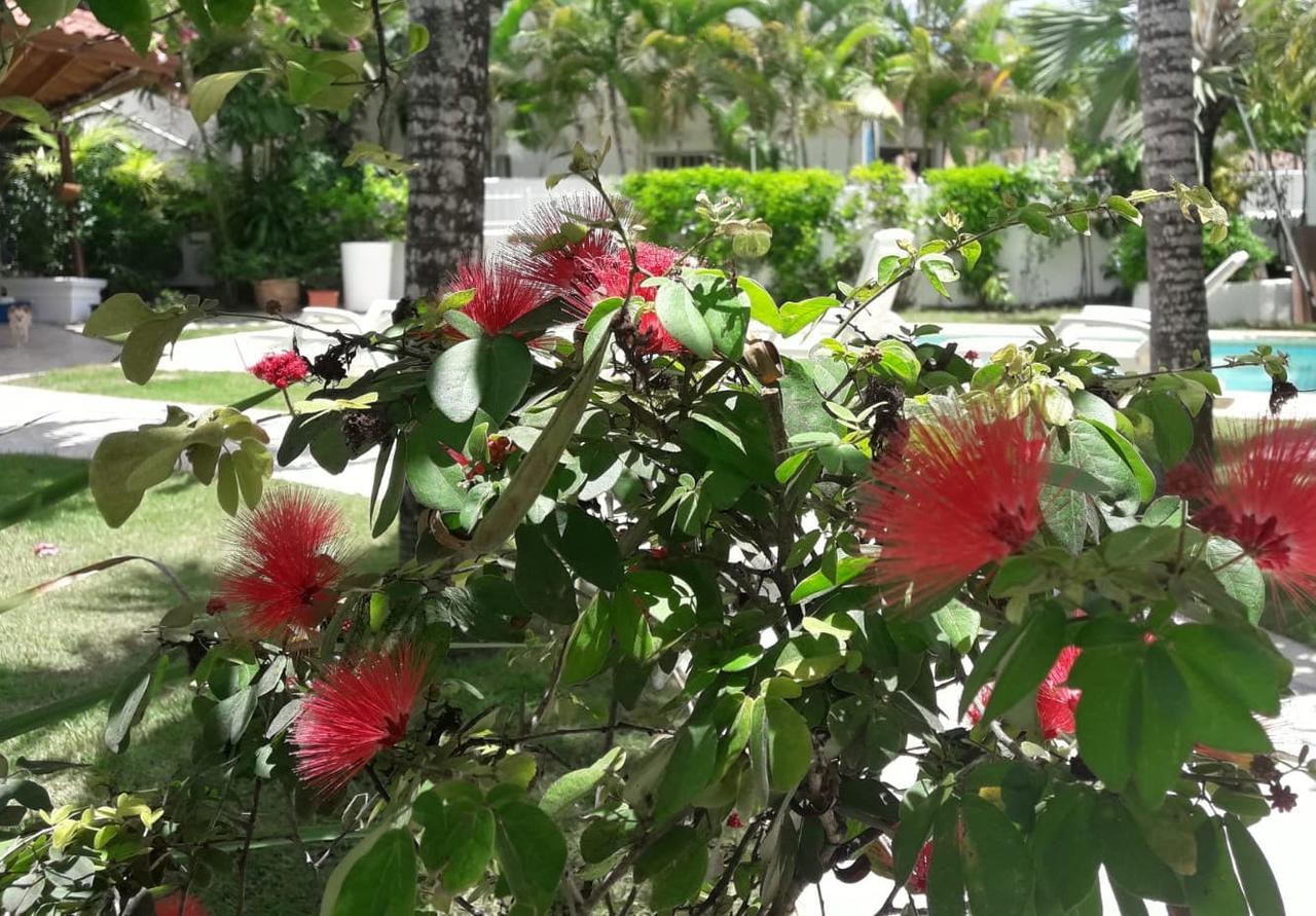 Rosa Dominicus Bed & Breakfast San Rafael del Yuma