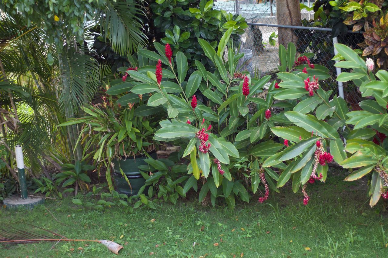 Casa Peace Haven House Holiday home Aguada