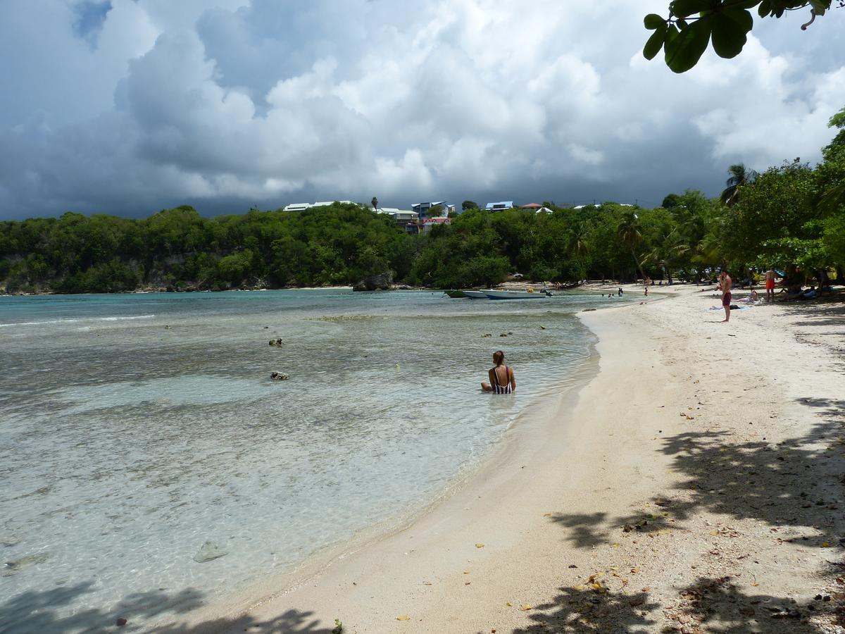 Nature & Alizes Le Gosier (Grande-Terre)