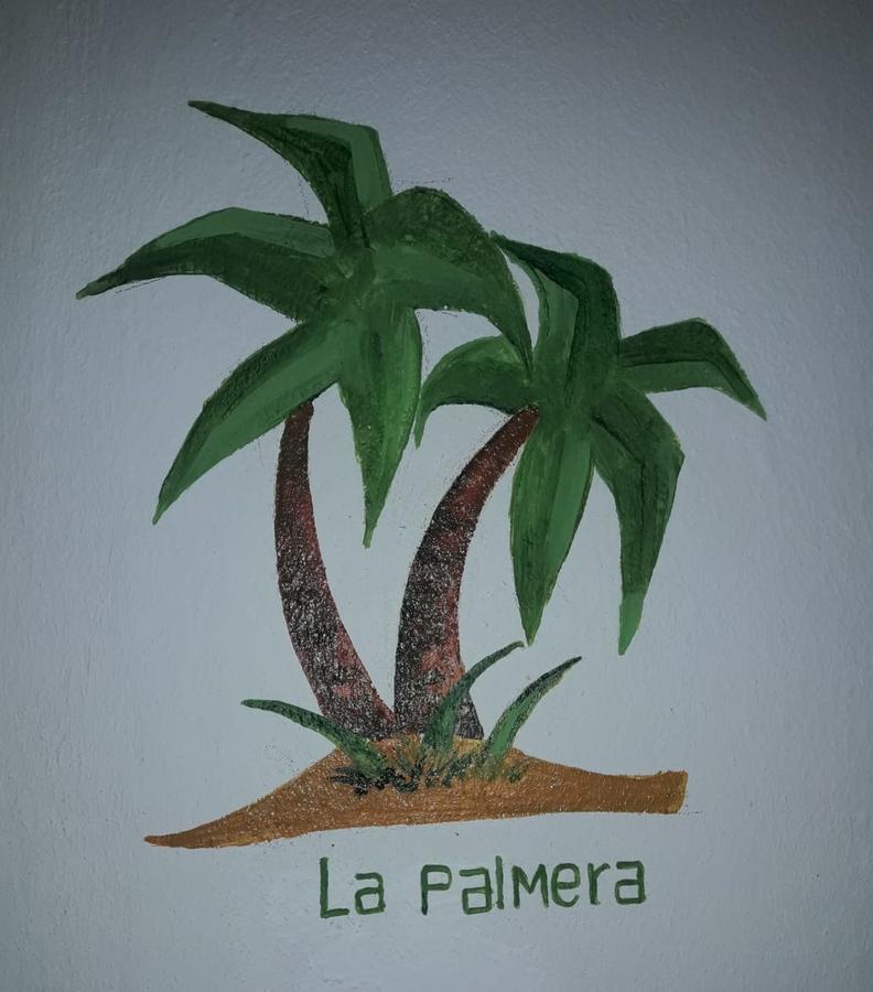 Rosa Dominicus San Rafael del Yuma