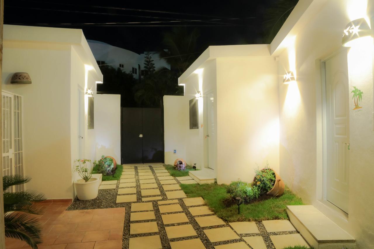 Rosa Dominicus 3*