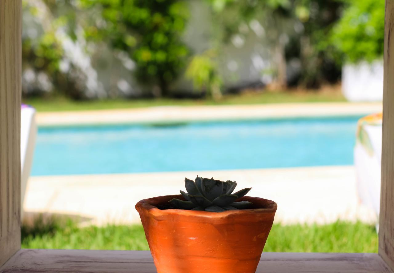 Rosa Dominicus Bed & Breakfast San Rafael del Yuma