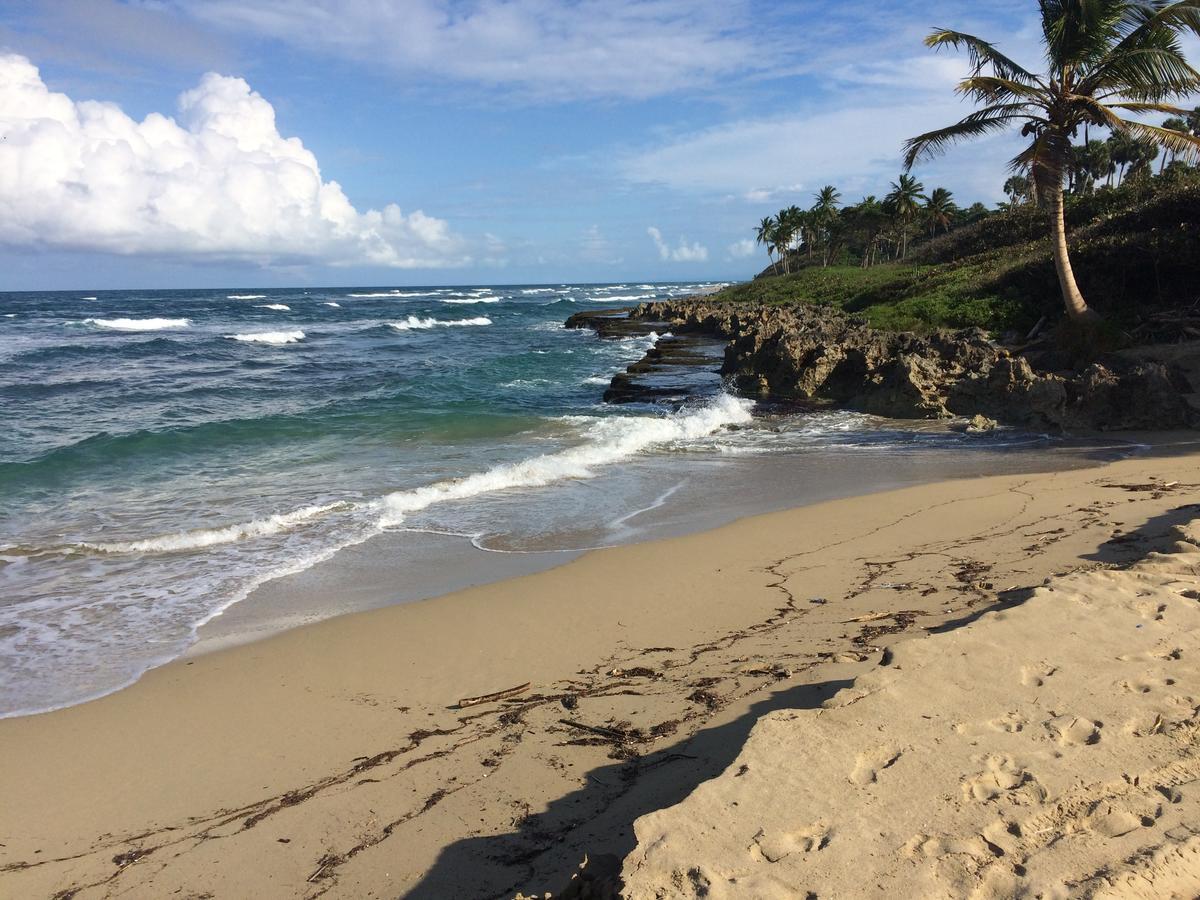 Moosa Cabarete