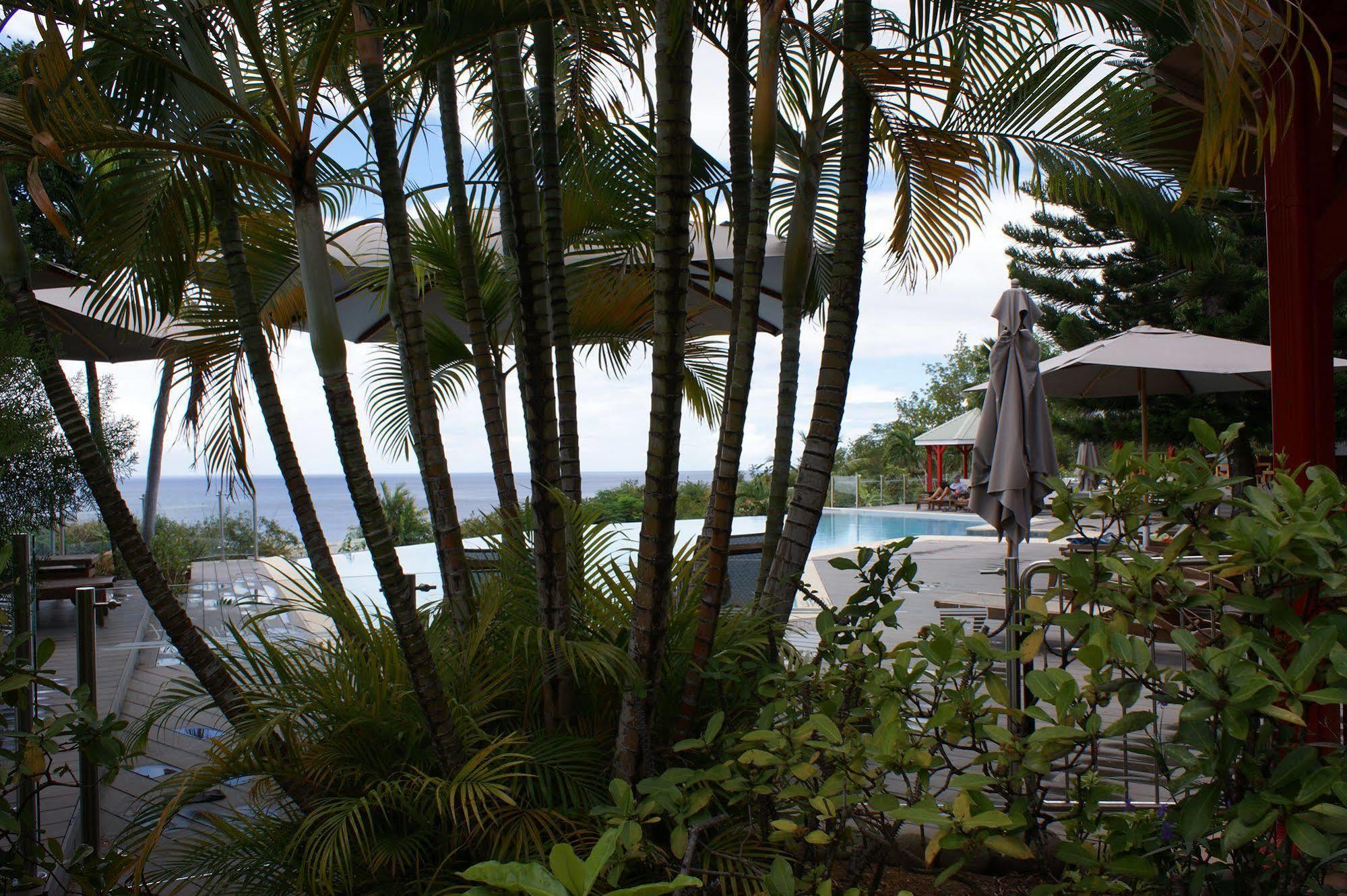 Le Rayon Vert - Hotel & Restaurant Vue Sur Mer Deshaies
