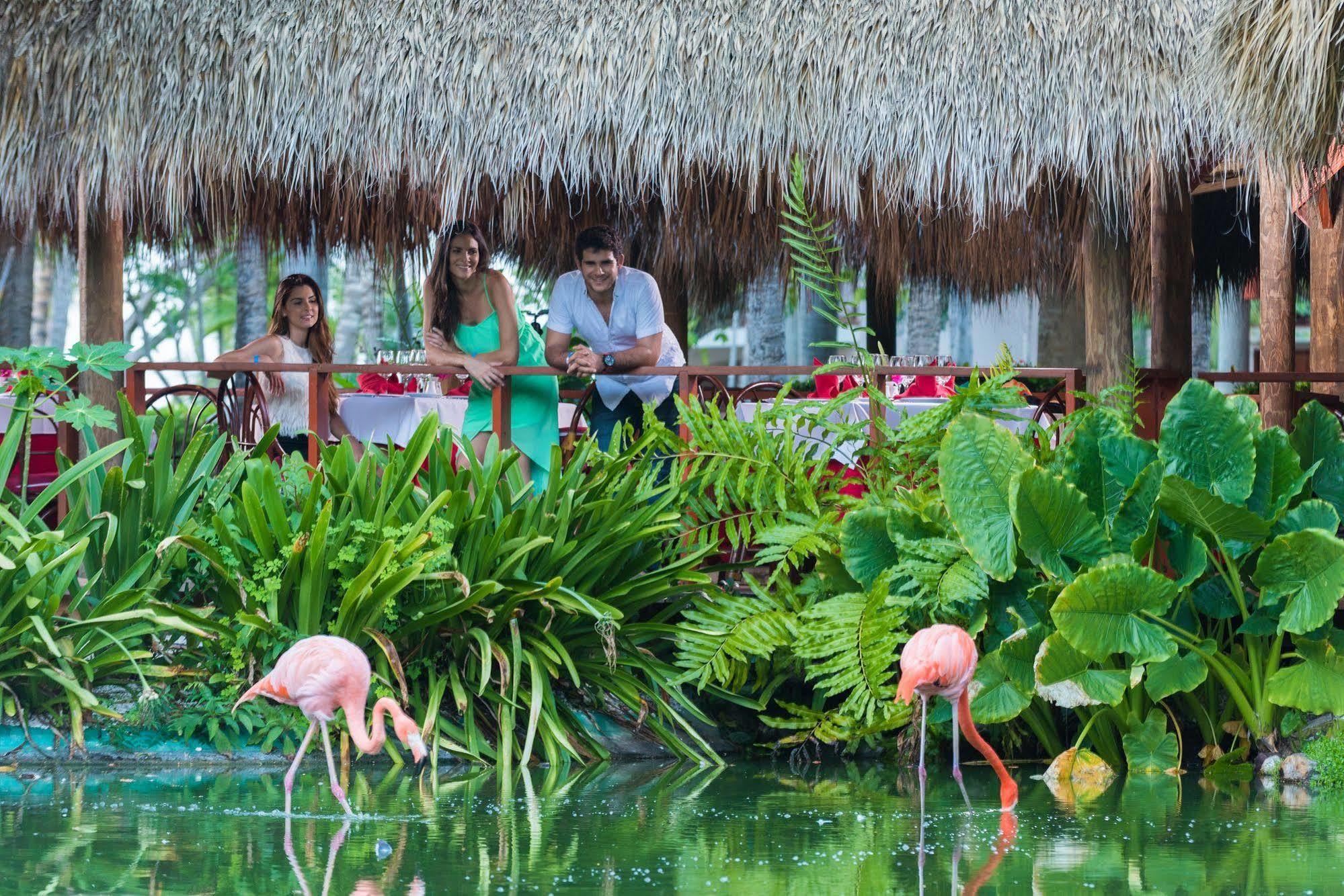 Resort Natura Park Beach & Spa Eco