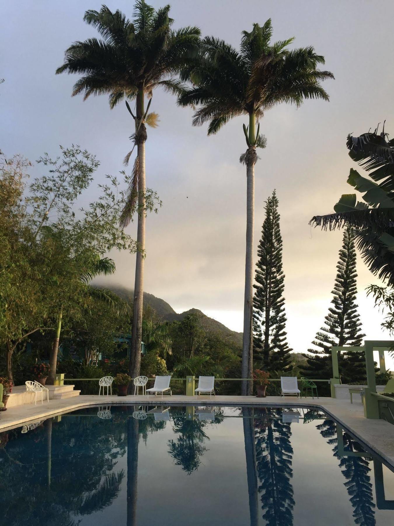 Golden Rock Nevis