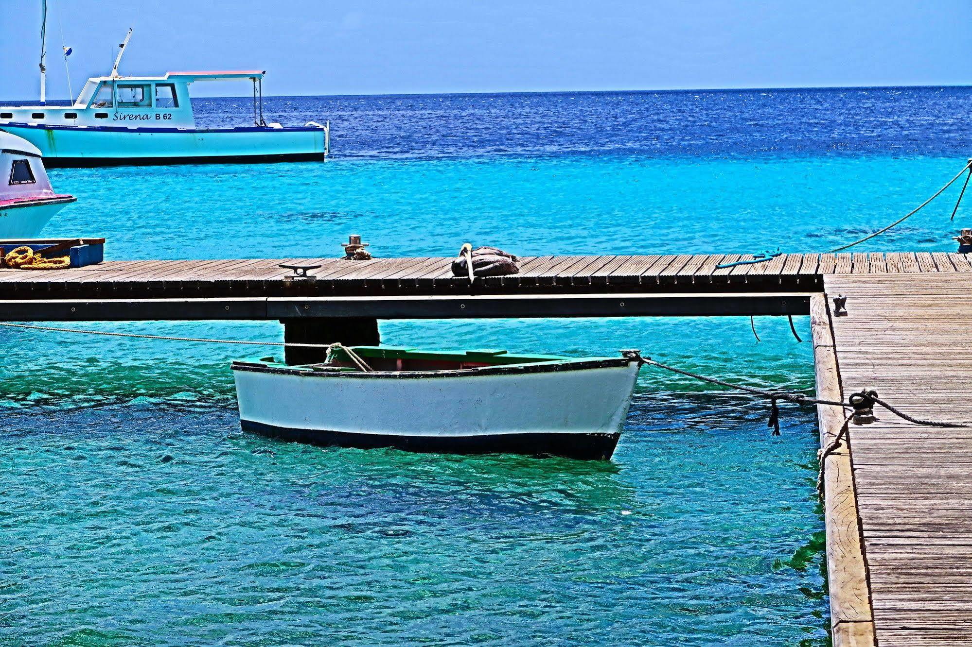 Treasure By The Sea Bonaire Apartamento Playa