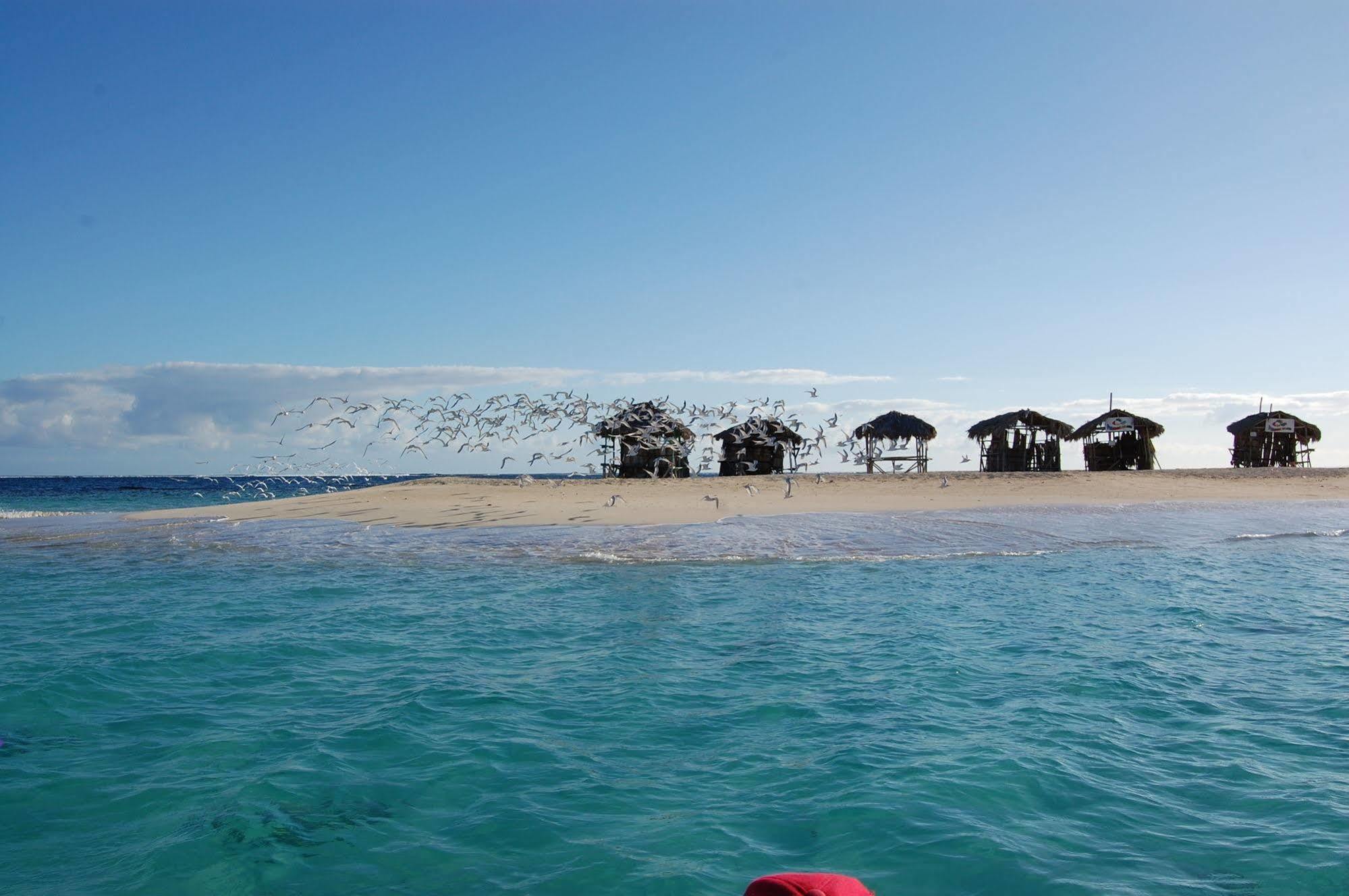 Paradise Island 3*