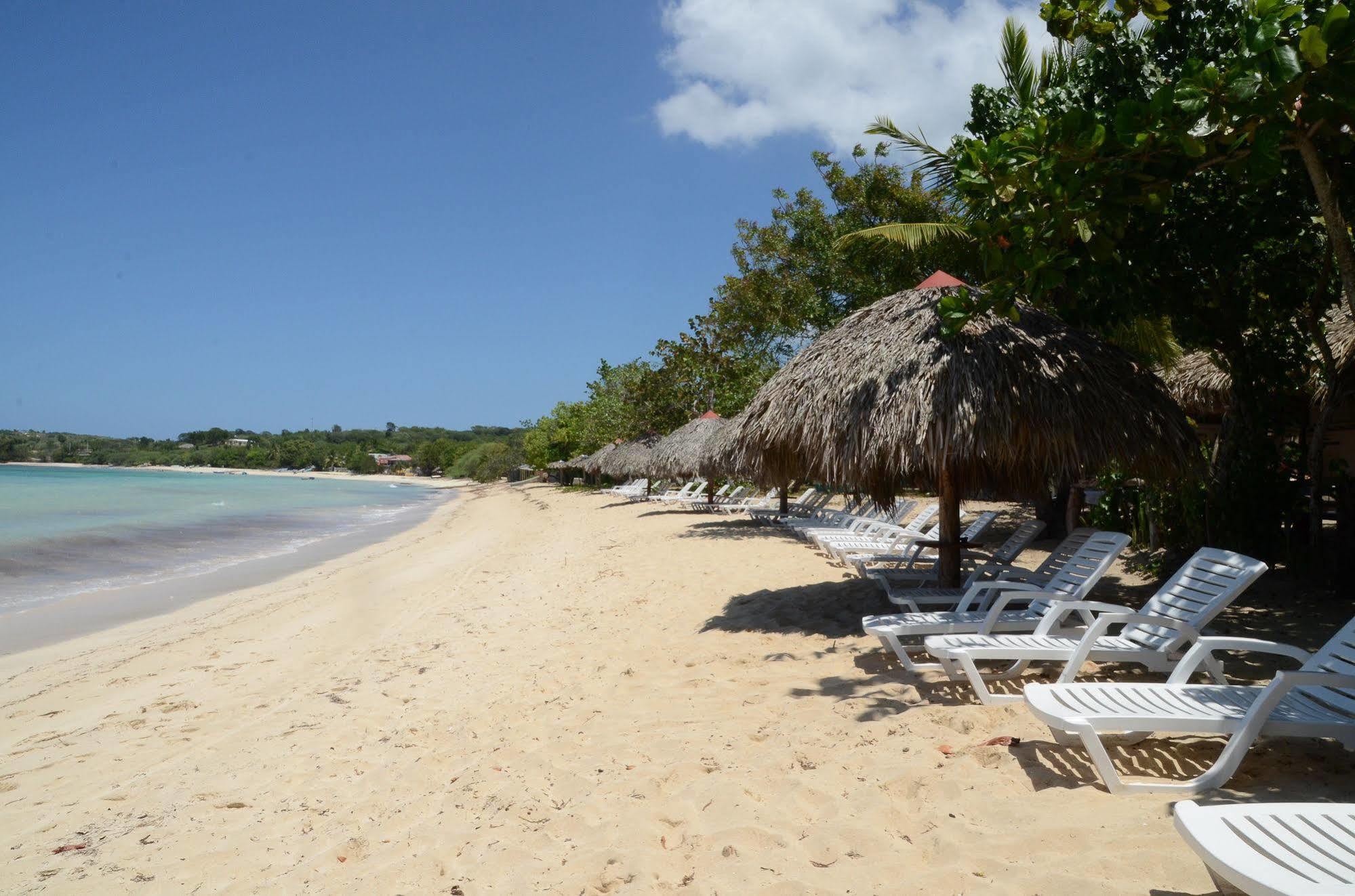 Paradise Island Hotel
