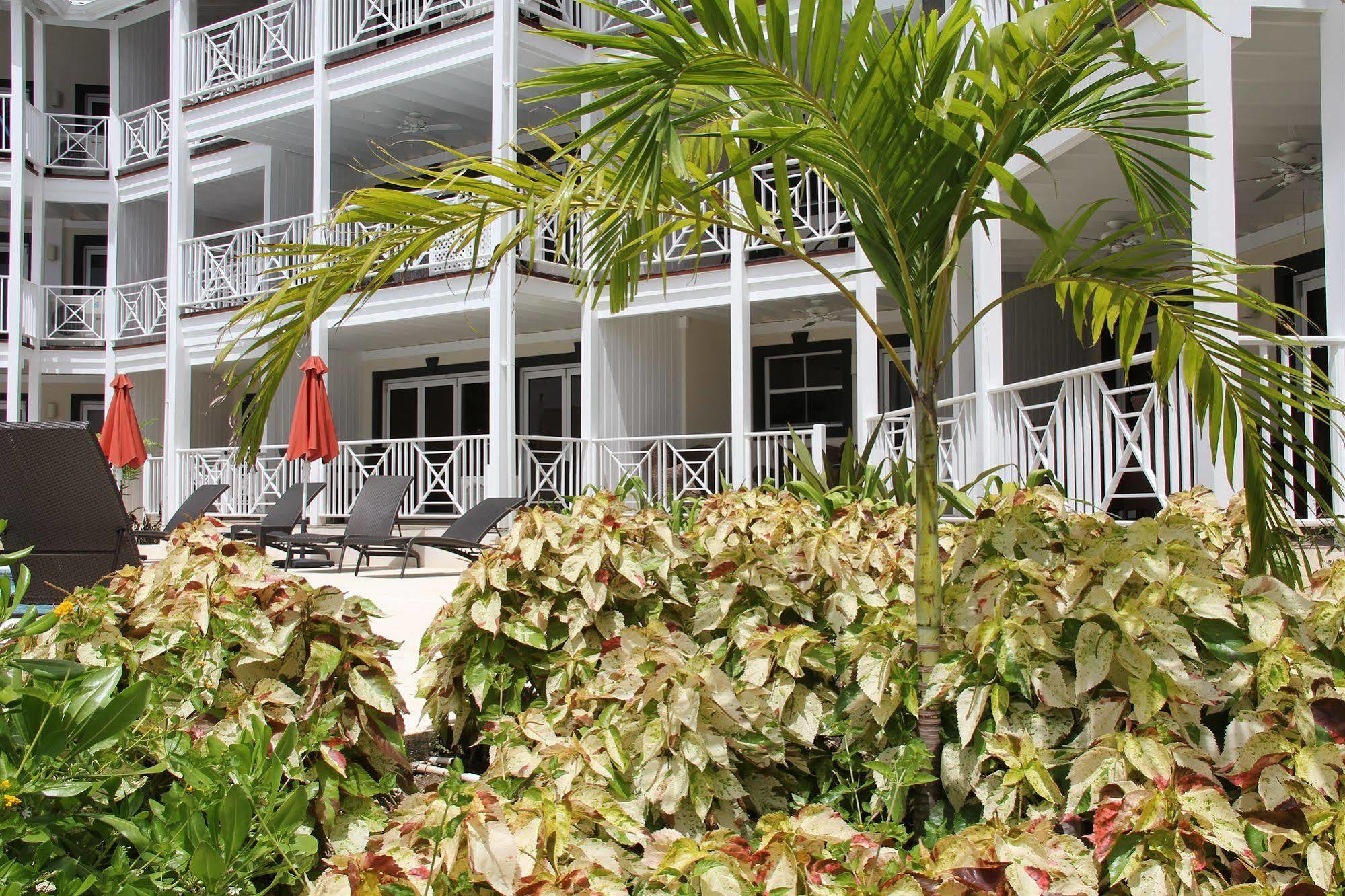 Lantana Barbados By Island Saint James