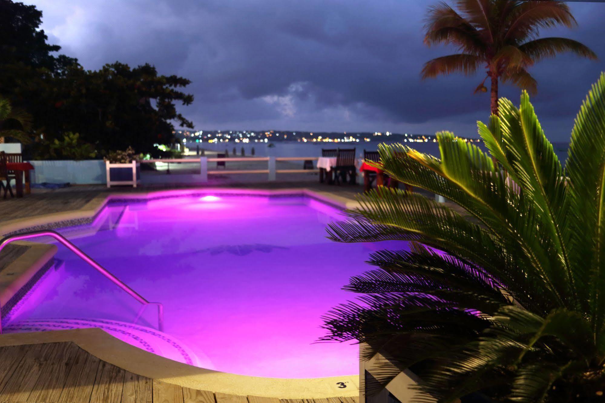 Palms 3*