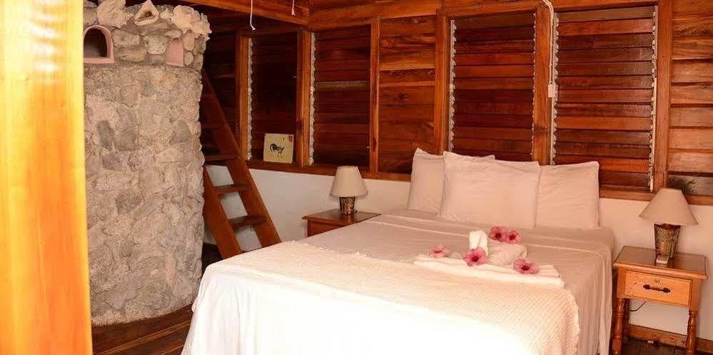 Hotel Coral Cove & Spa 3*