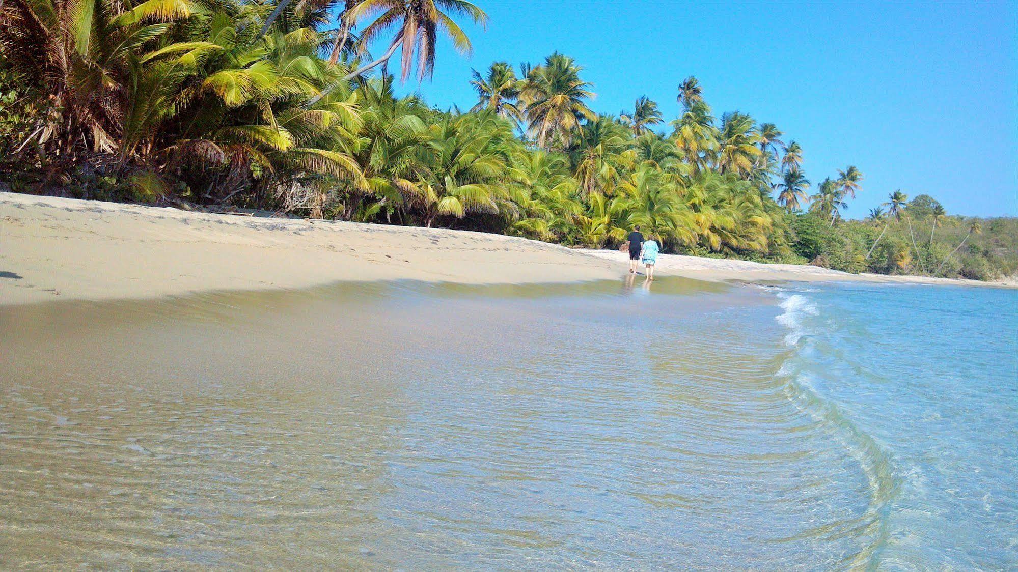 Blue Horizon Boutique (adults Only) Hotel Vieques