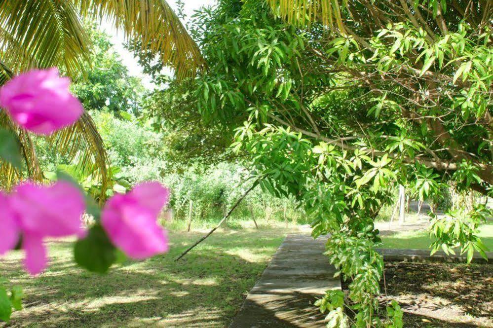 Au Jardin De Beausejour Guest house