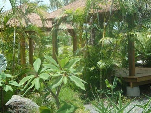 La Plantation &