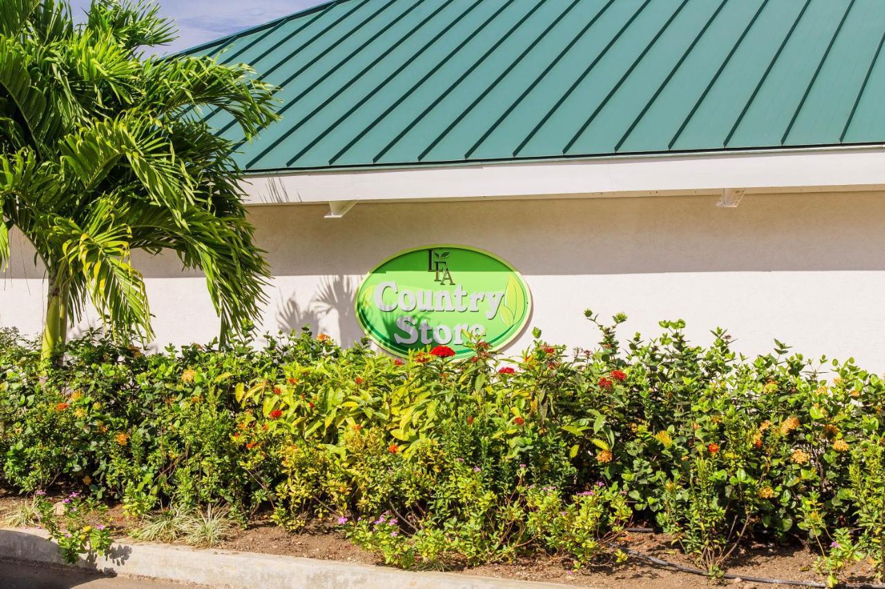 Villa Coolshade Ii Ocho Rios