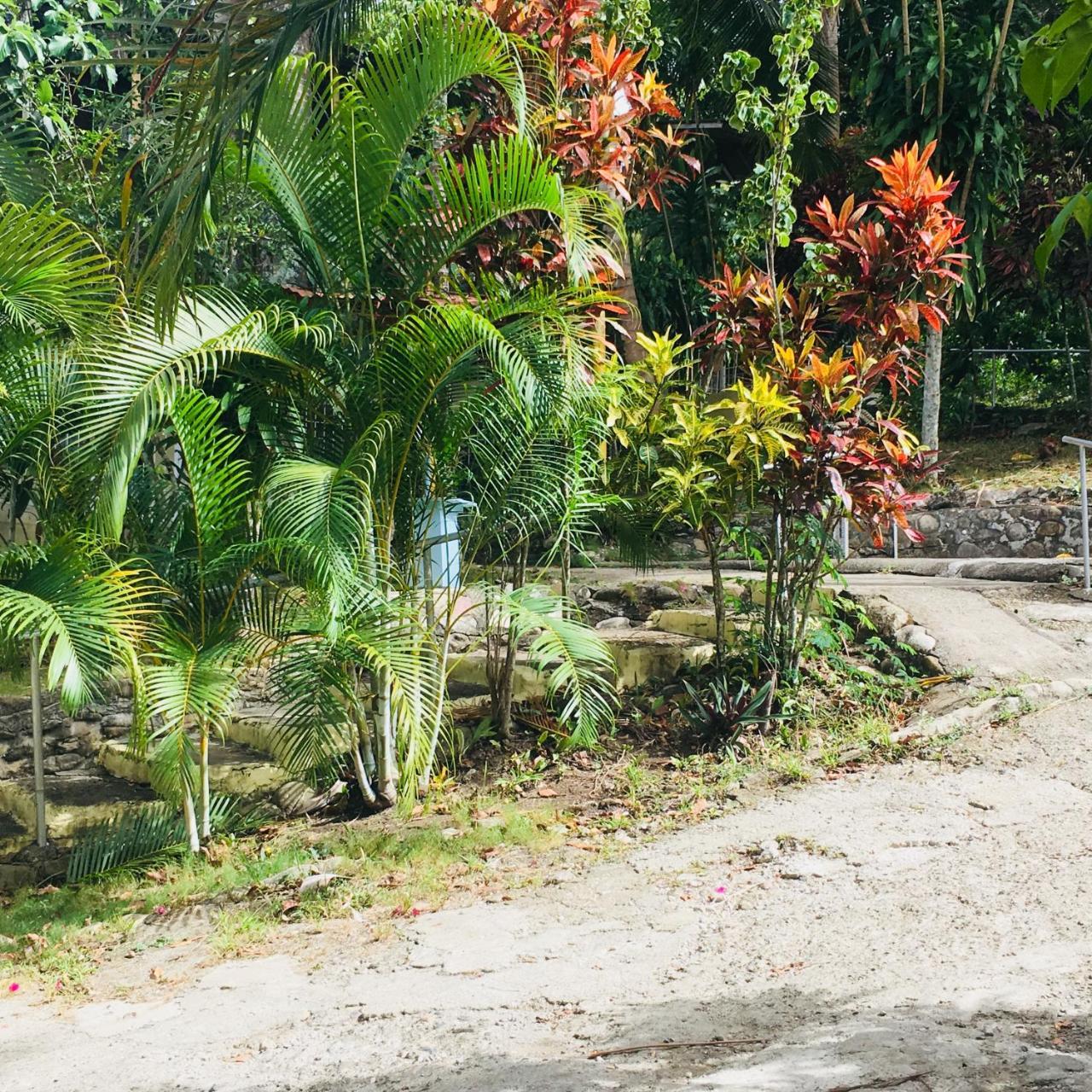 Campsite Camping National Park Close To Beach Puerto Plata