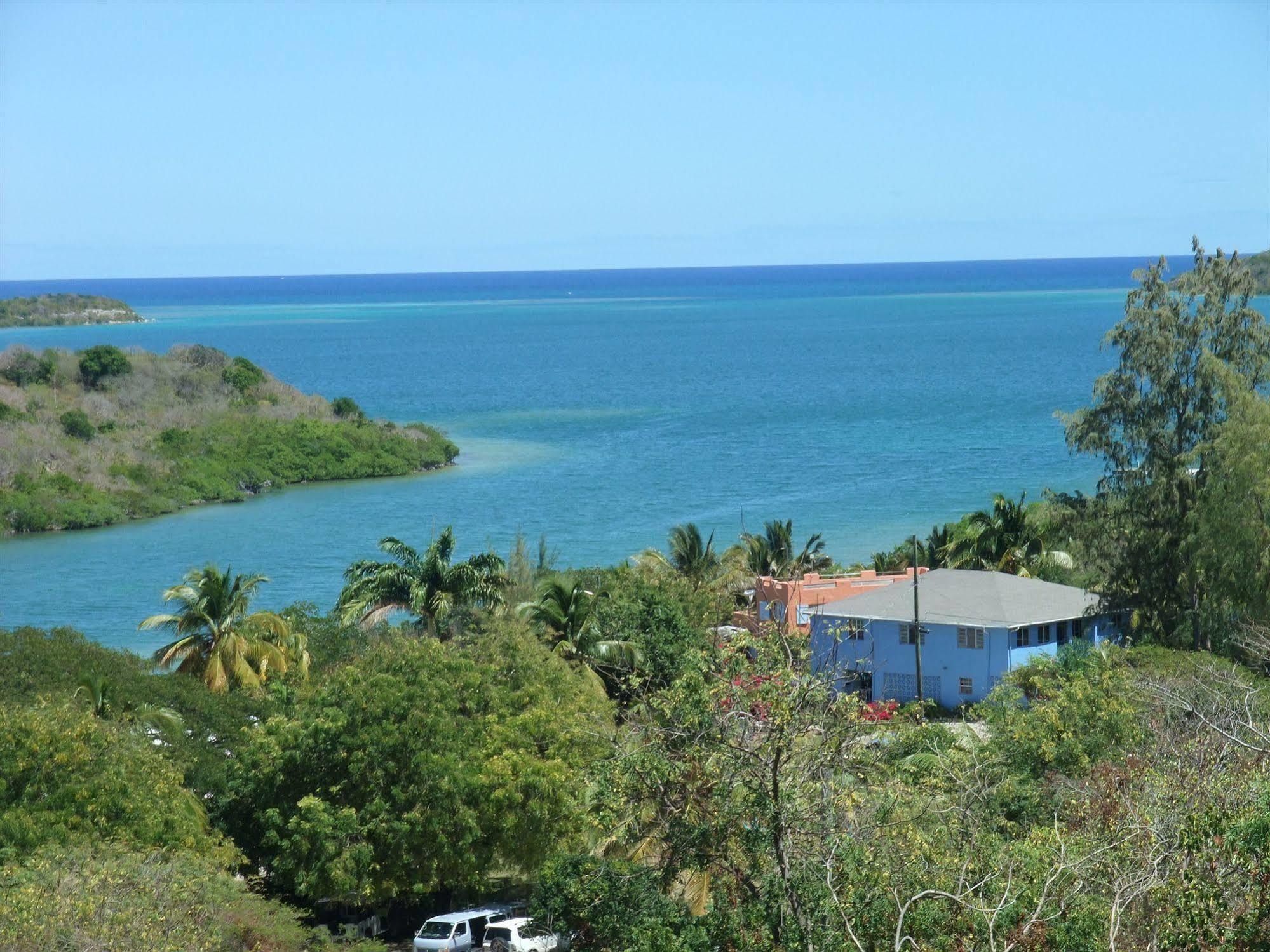 Ellen Bay