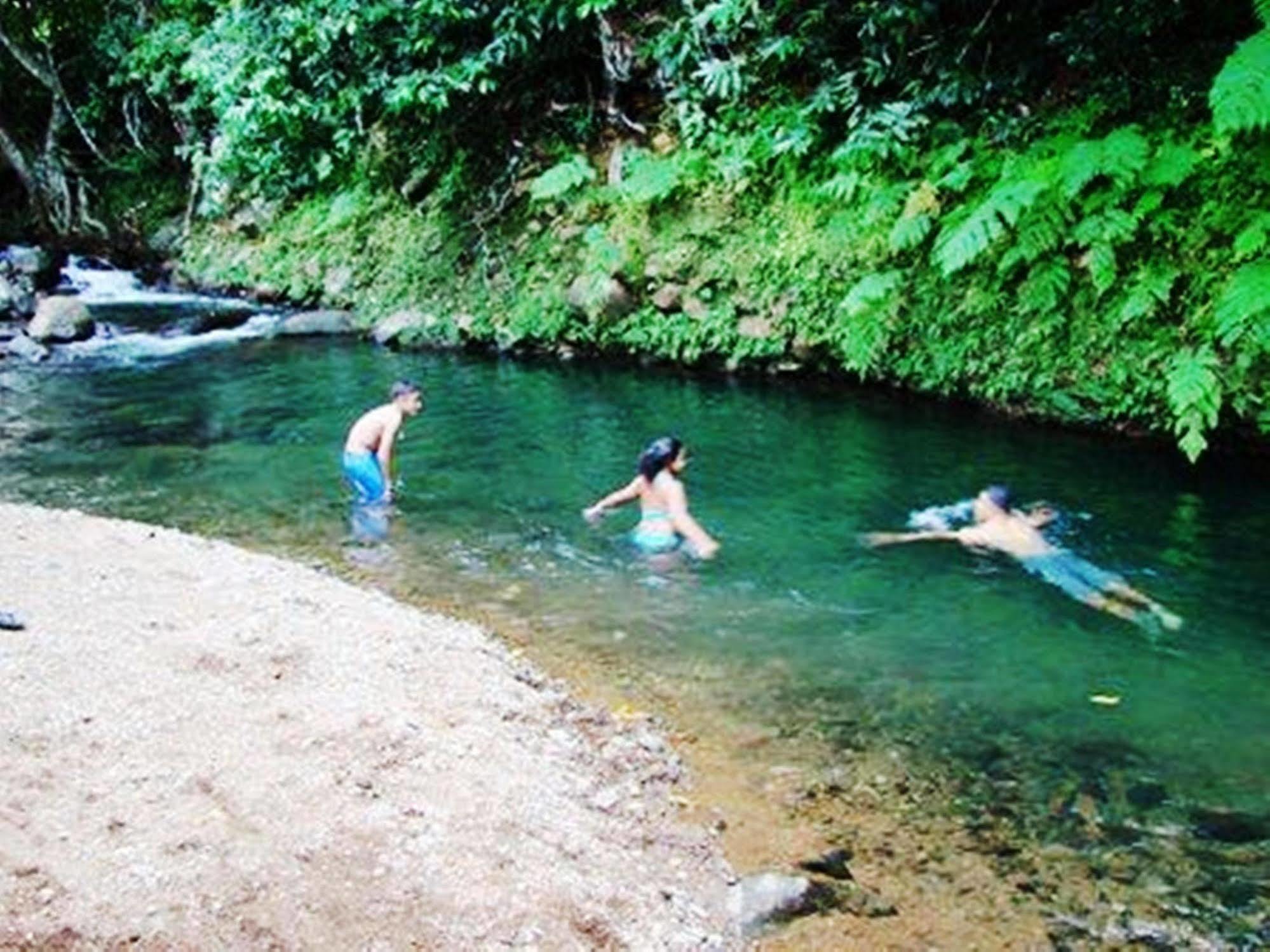 Guest house Coffeeriver Cottages 2*
