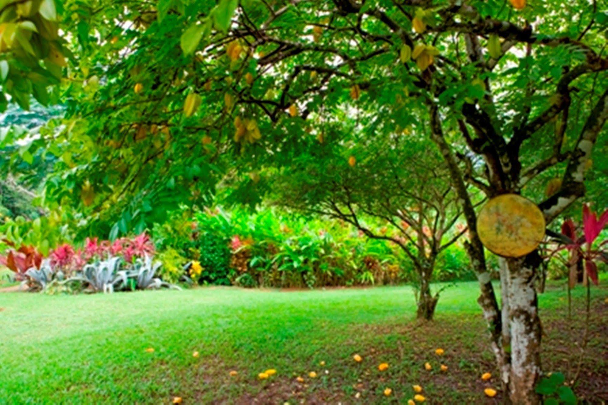Guest house Coffeeriver Cottages
