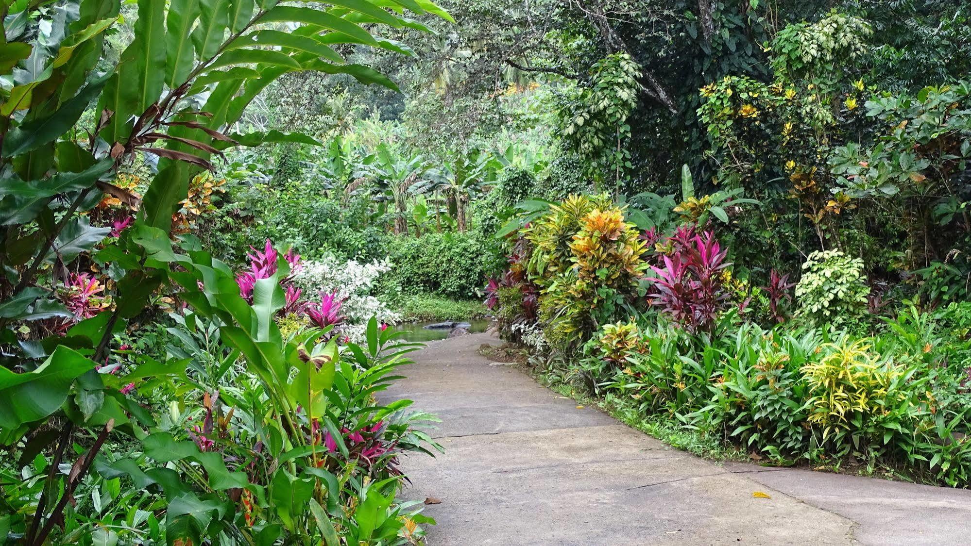 Guest house Coffeeriver Cottages 2*