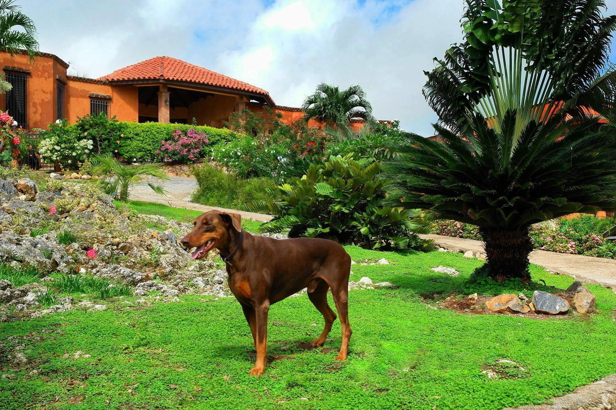 Monte Placido
