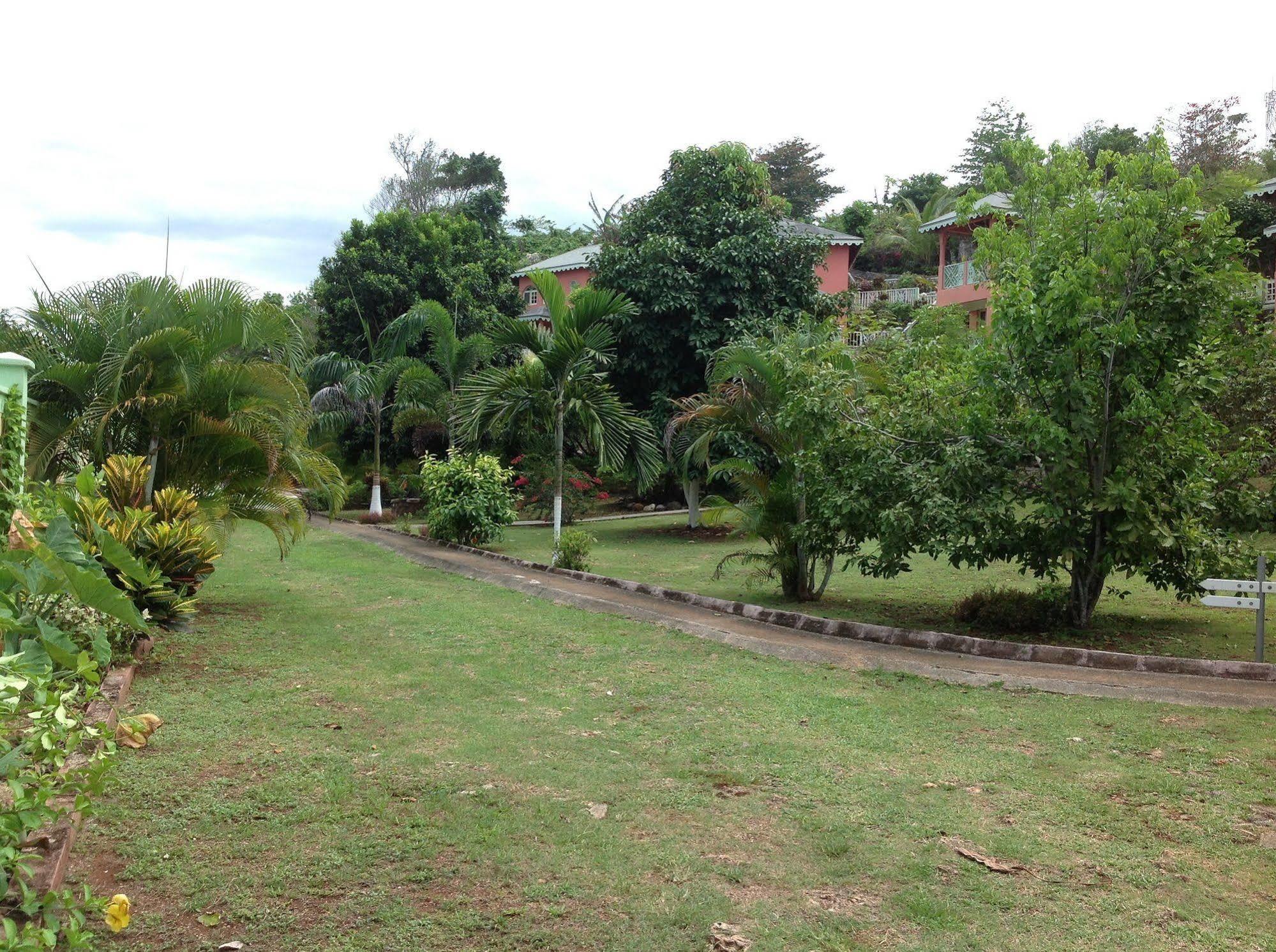Pimento Port Antonio