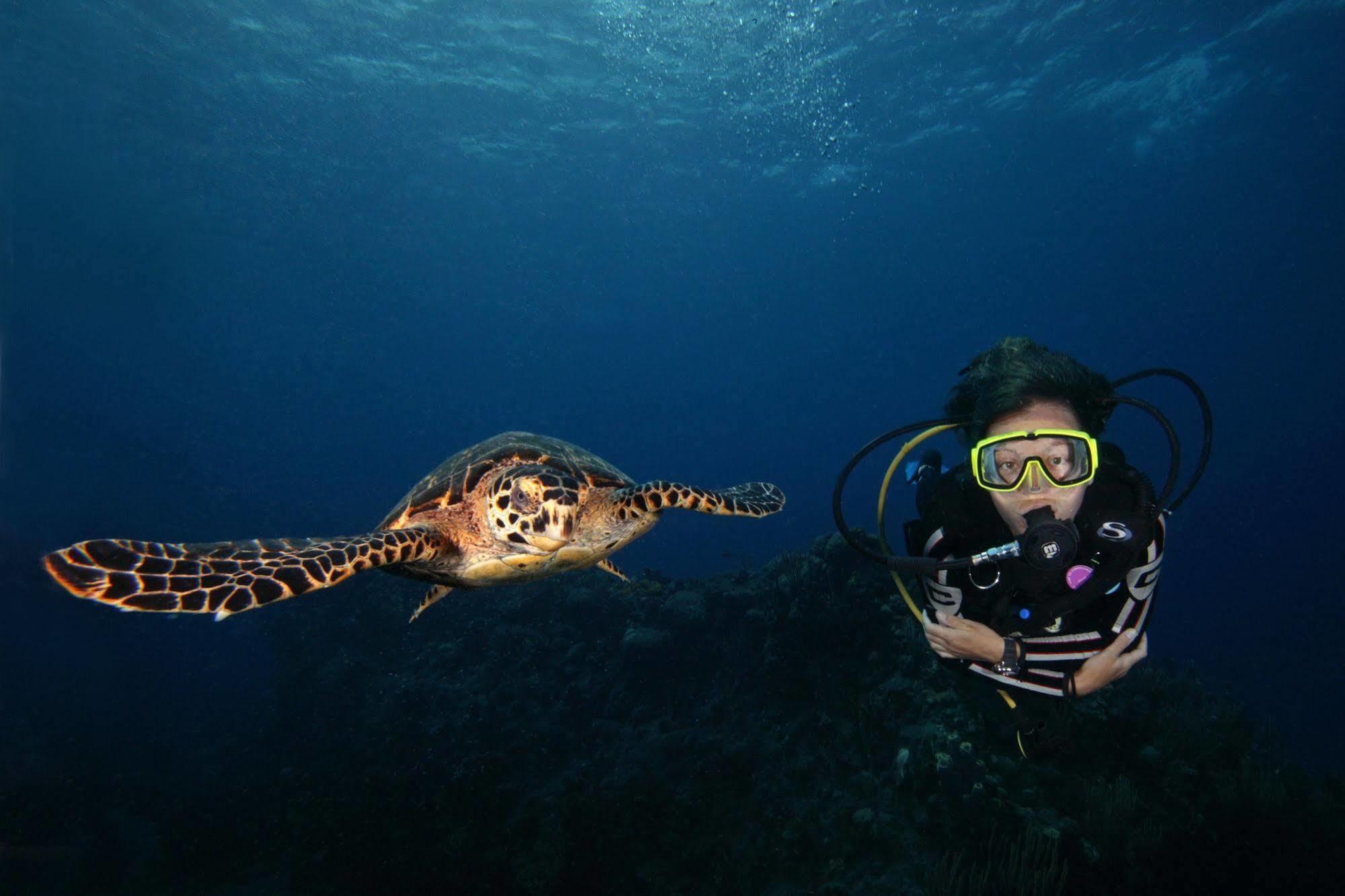 Eden - Bonaire Resort 3*