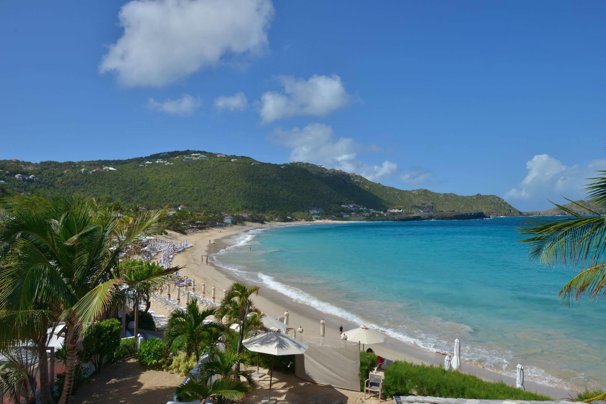 Taiwana Gustavia