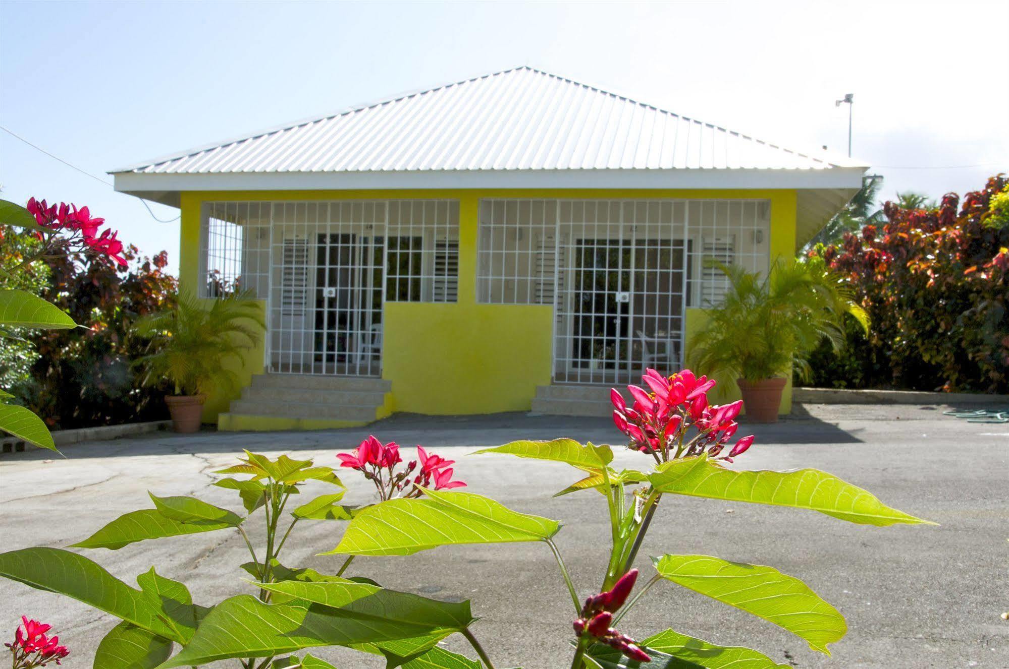 Adulo Apartment