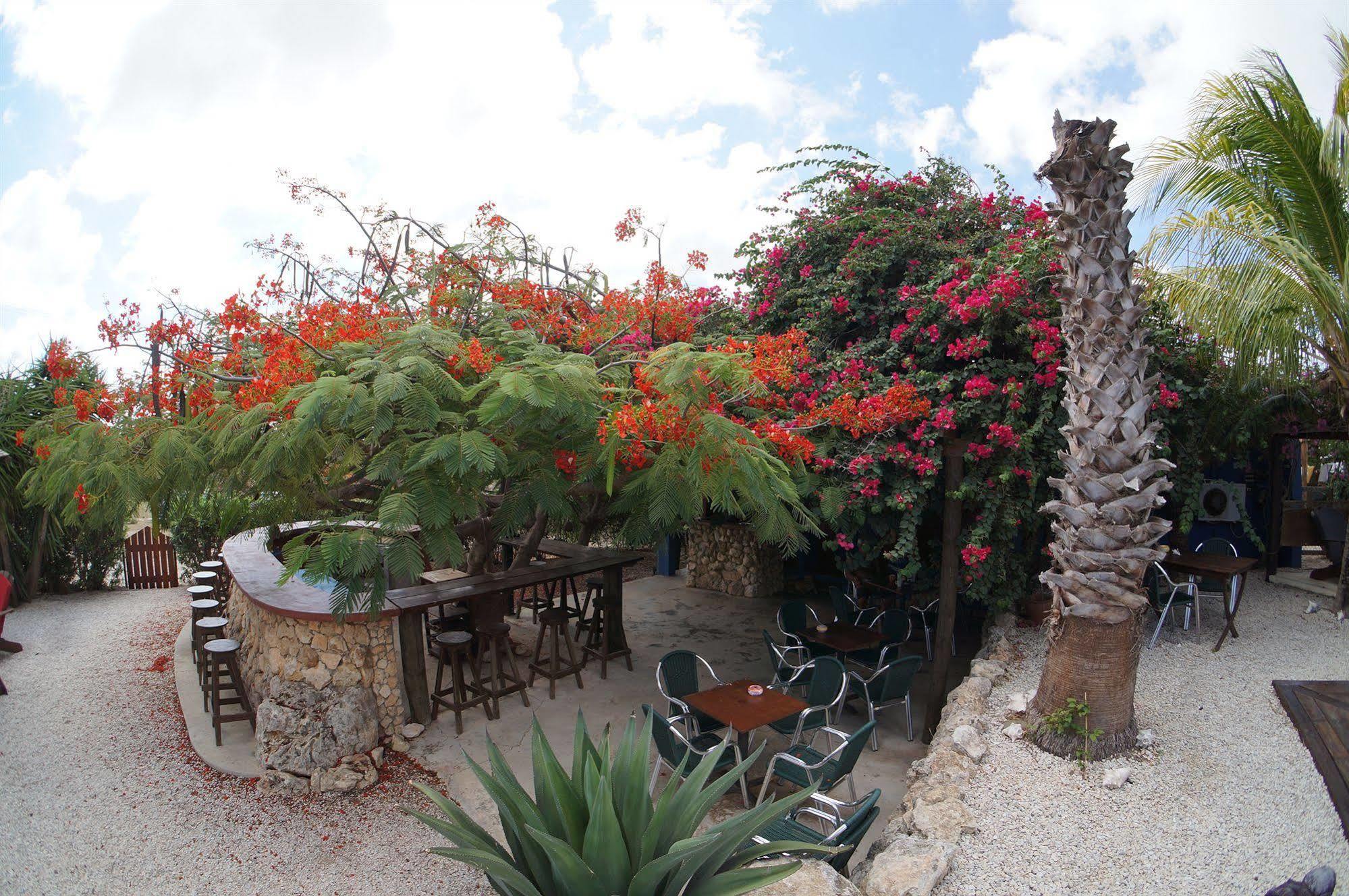 Caribbean Chillout Aparthotel Kralendijk (Bonaire)
