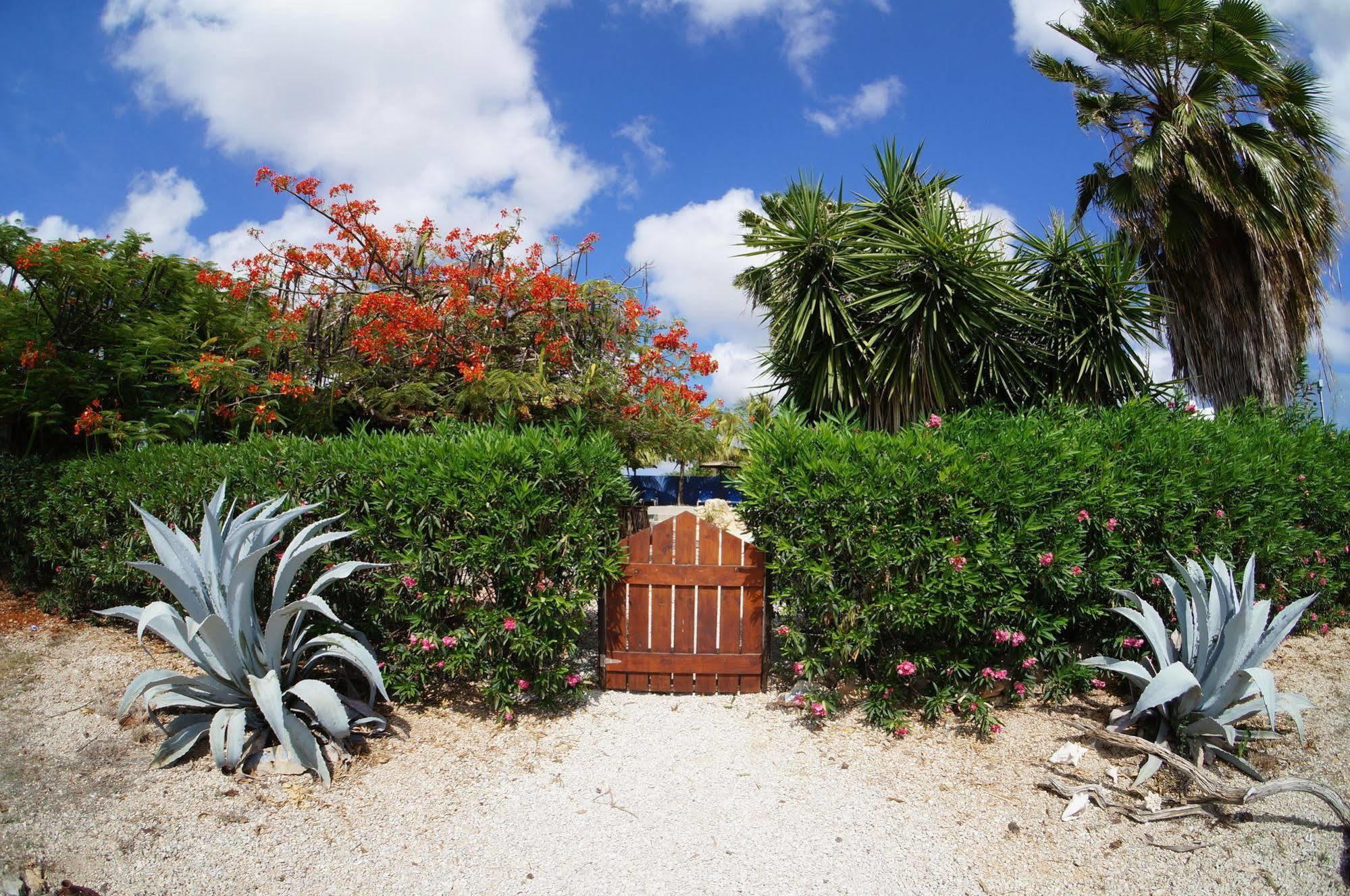 Caribbean Chillout Aparthotel