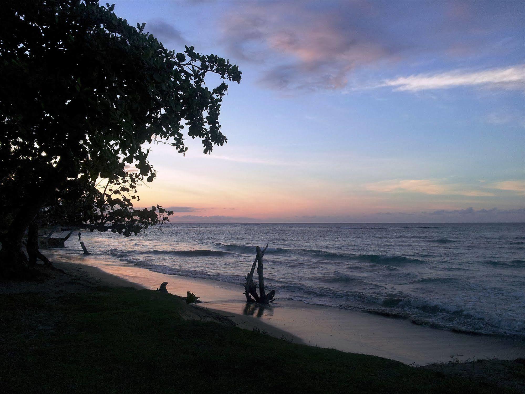 Arena Dorada Hotel Las Terrenas
