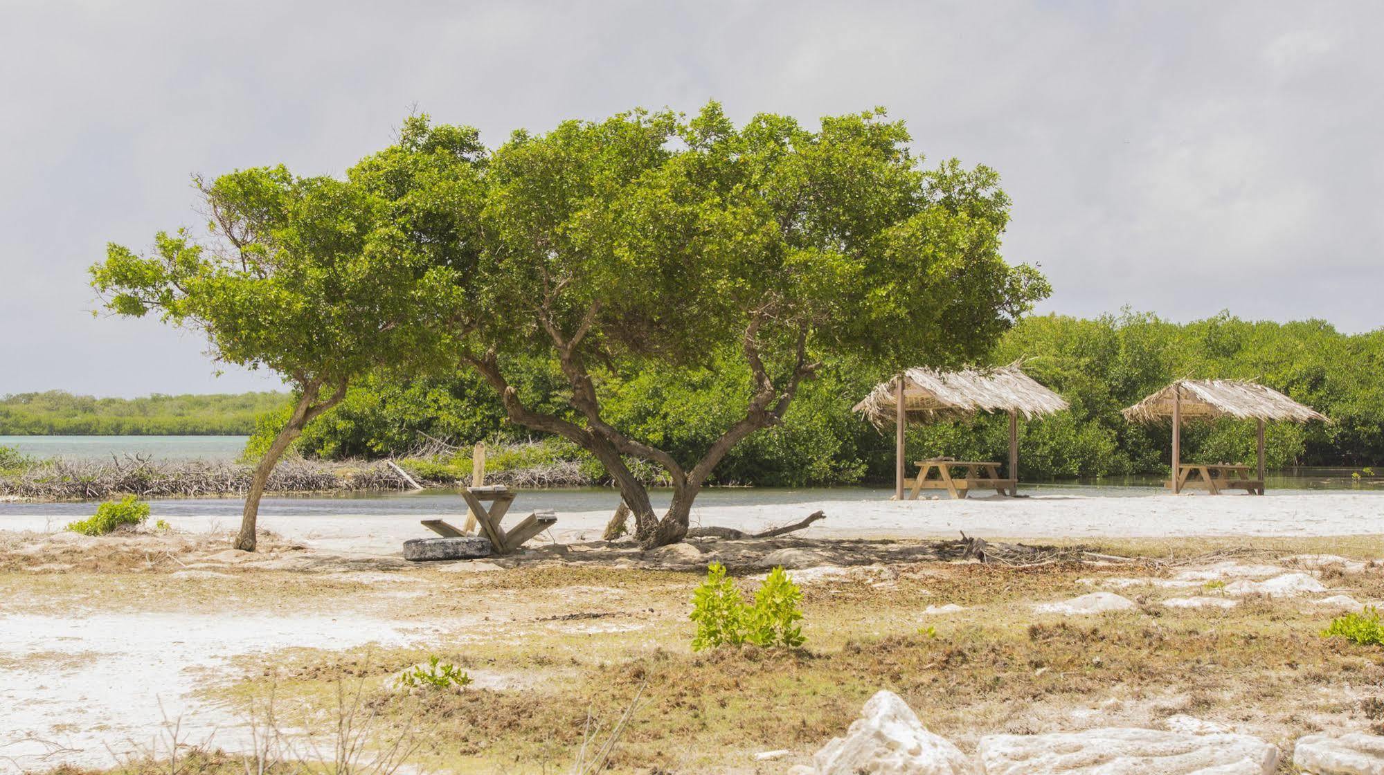 The Dive Hut - Boutique Hotel