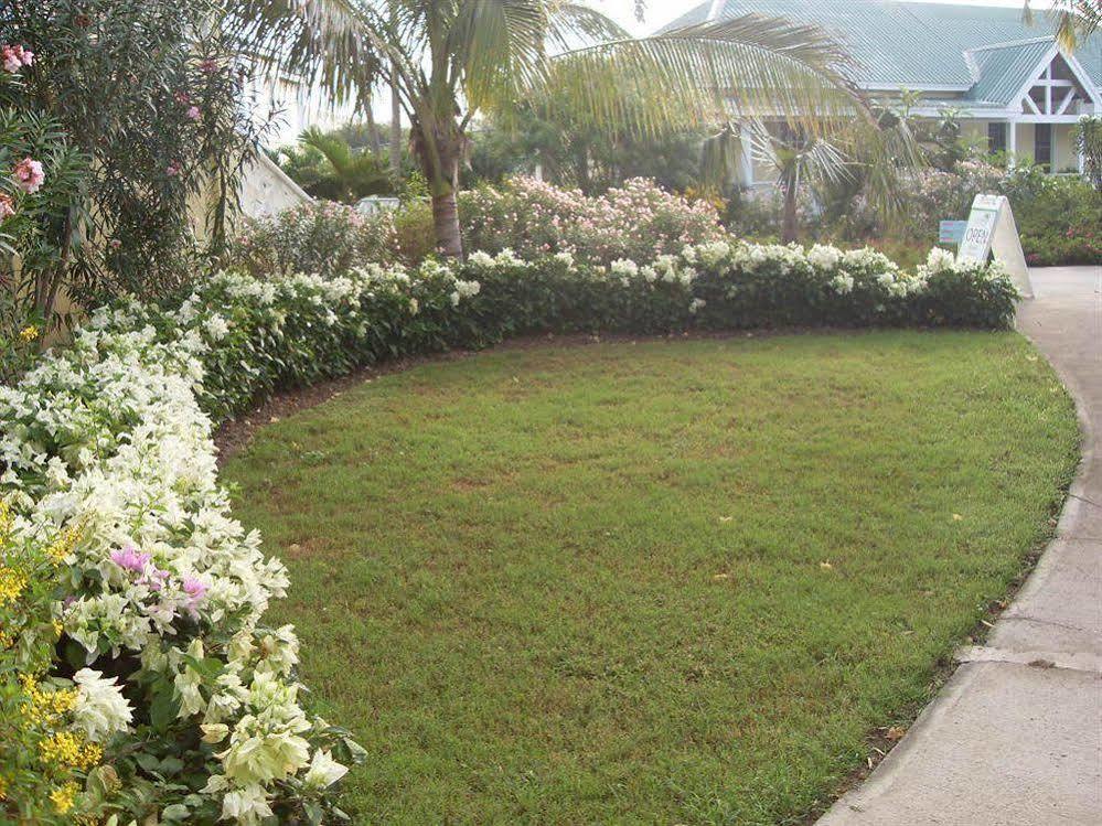 Nelson Spring Beach Hotel Saint Thomas Lowland