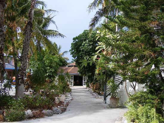 Hotel Turtle Cove Inn Turtle Cove